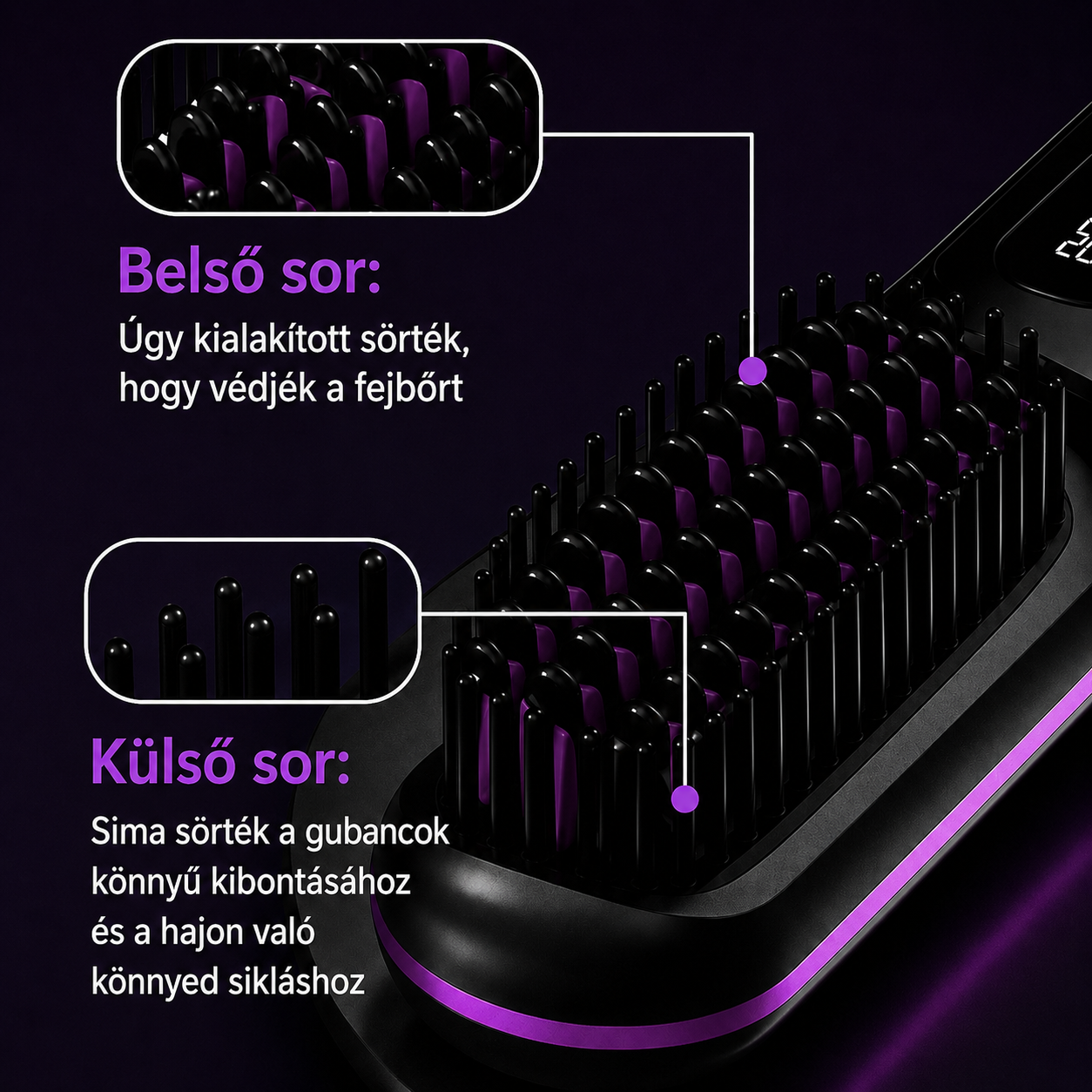Belső és külső sörtesor